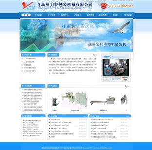 高密网络公司 专业网站建设与网页制作服务，打造您的数字门户