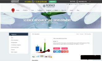 英文网站制作制胜宝典 从策略到实践，打造全球影响力的网站建设指南