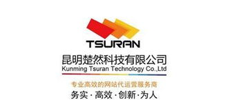 网站建设 网站推广 淘宝 天猫开店 产品摄影
